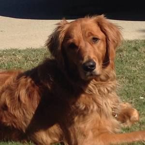 Meet your Posher, Kellie